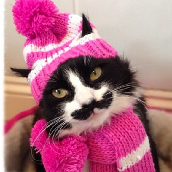 Meet your Posher, Aries - Picture 14 of 16